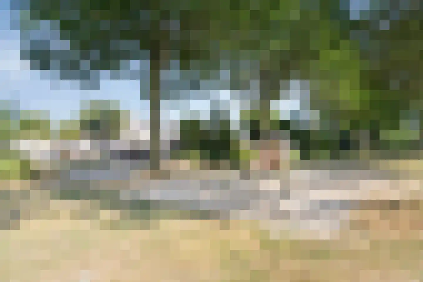 Andoorn 20 Klazienaveen thumbnail 31