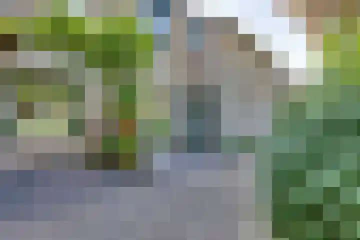 Andoorn 27 Kampen thumbnail 10