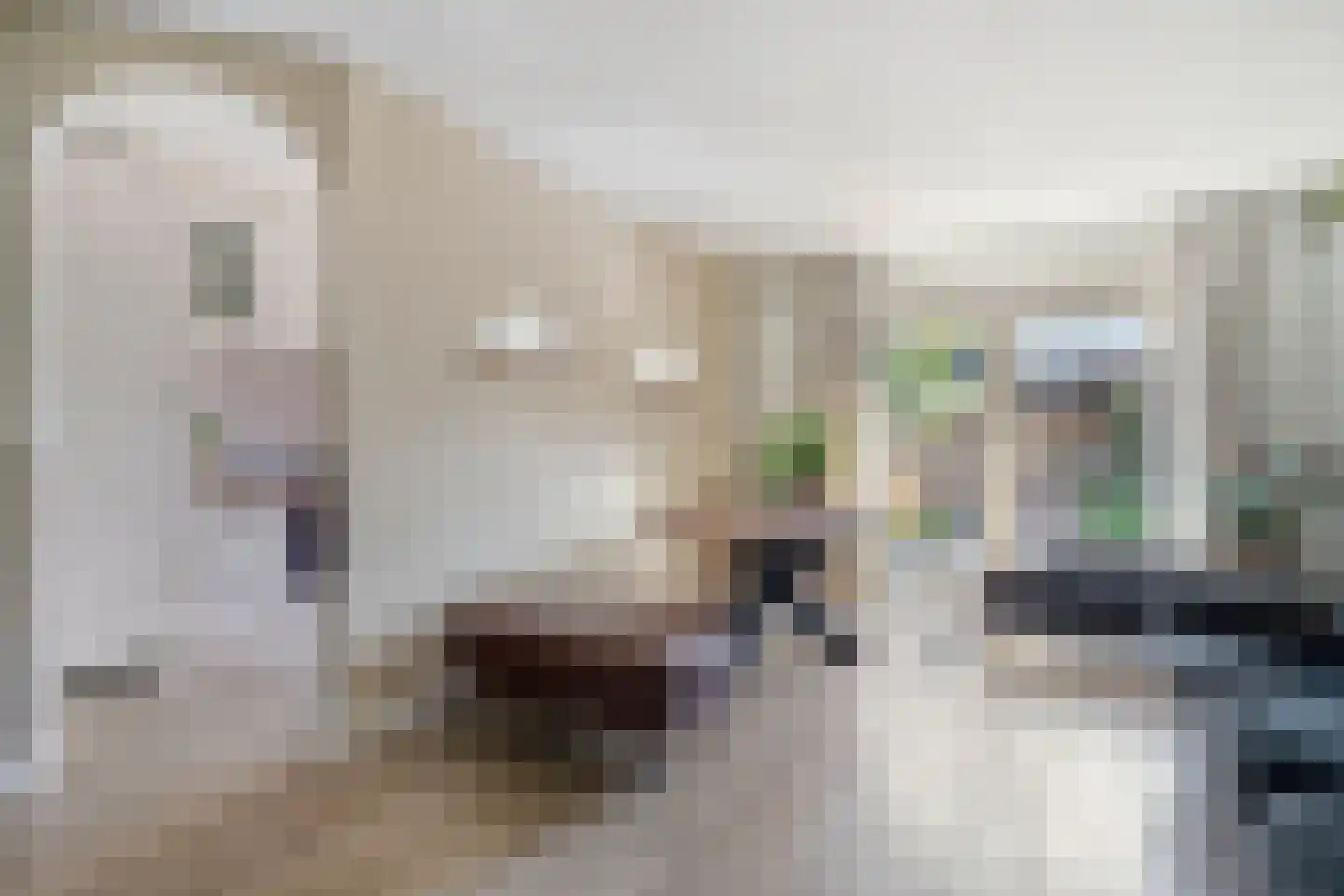 Andoorn 27 Kampen thumbnail 11