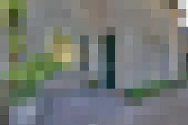 Andoorn 27 Kampen thumbnail 12