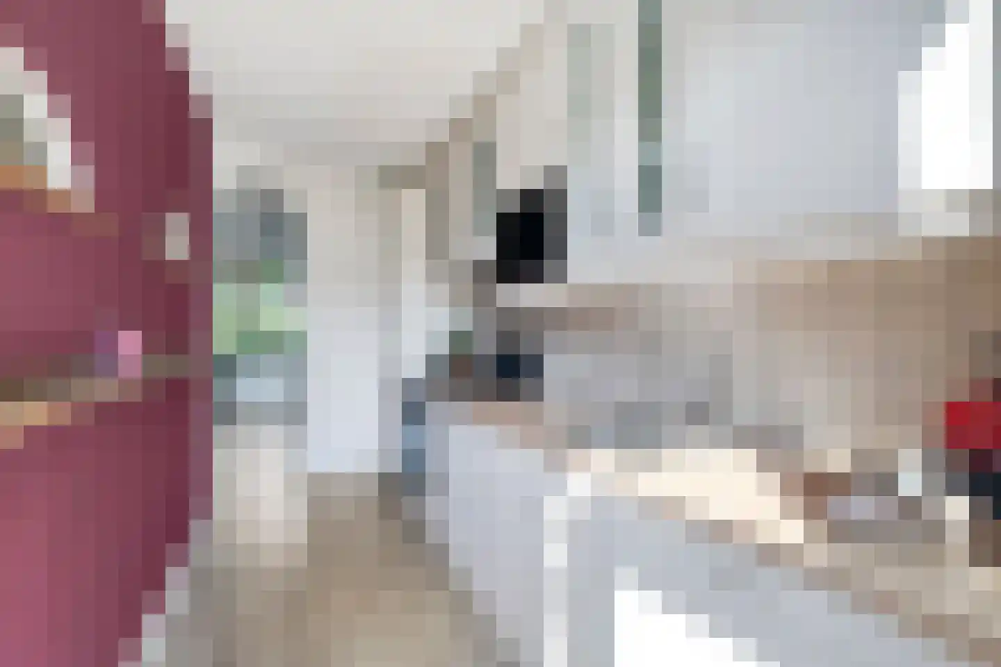 Andoorn 27 Kampen thumbnail 15