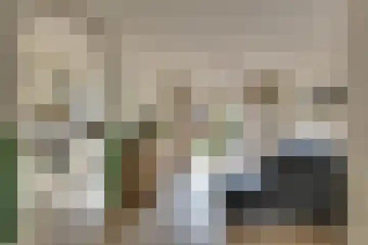 Andoorn 27 Kampen thumbnail 16