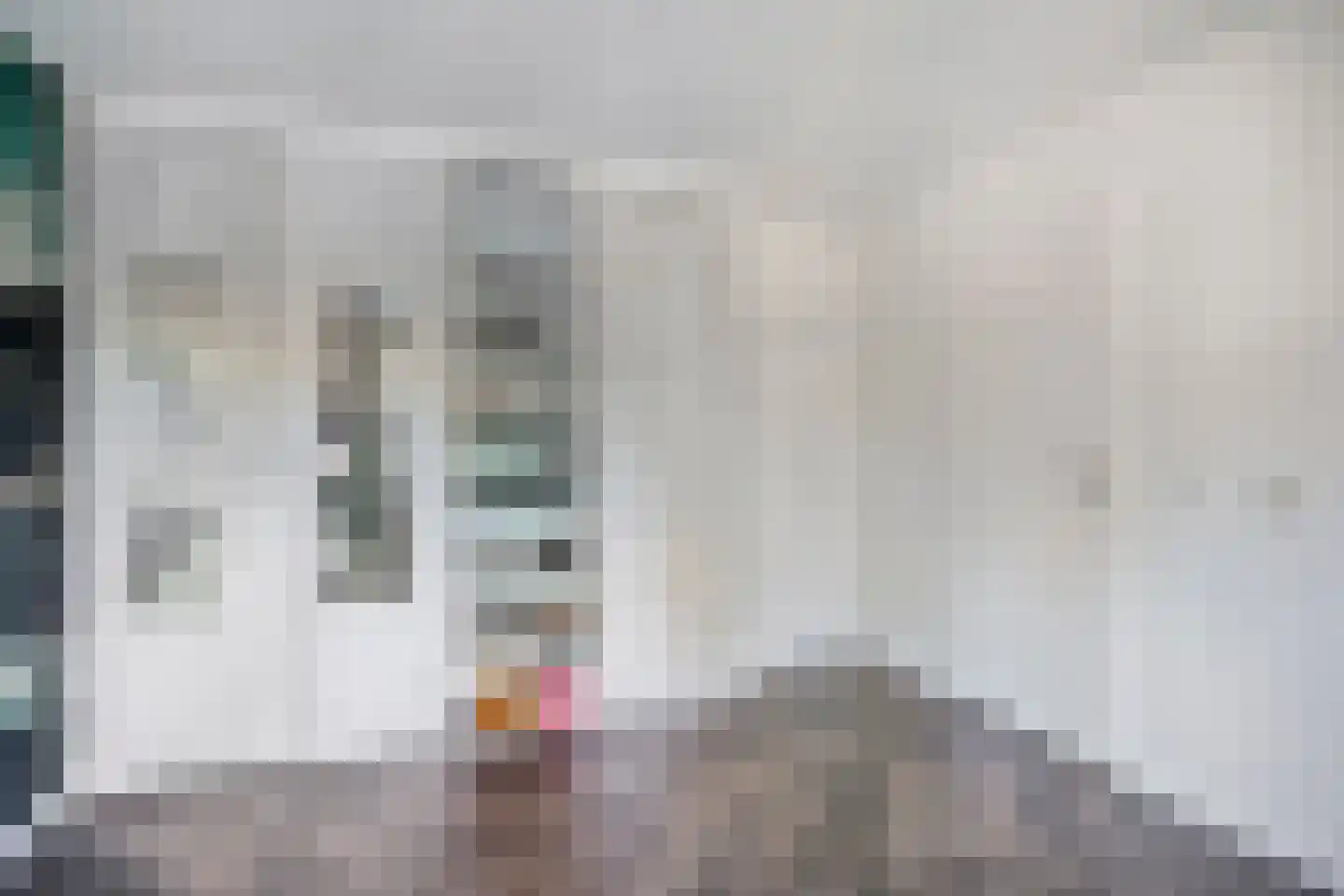 Andoorn 27 Kampen thumbnail 18