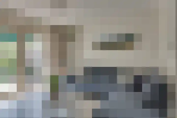 Andoorn 27 Kampen thumbnail 19