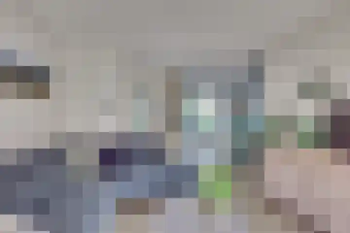 Andoorn 27 Kampen thumbnail 20