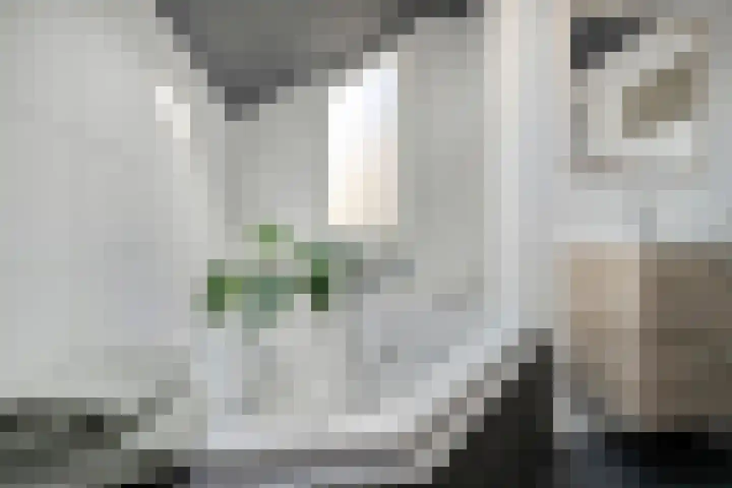 Andoorn 27 Kampen thumbnail 21