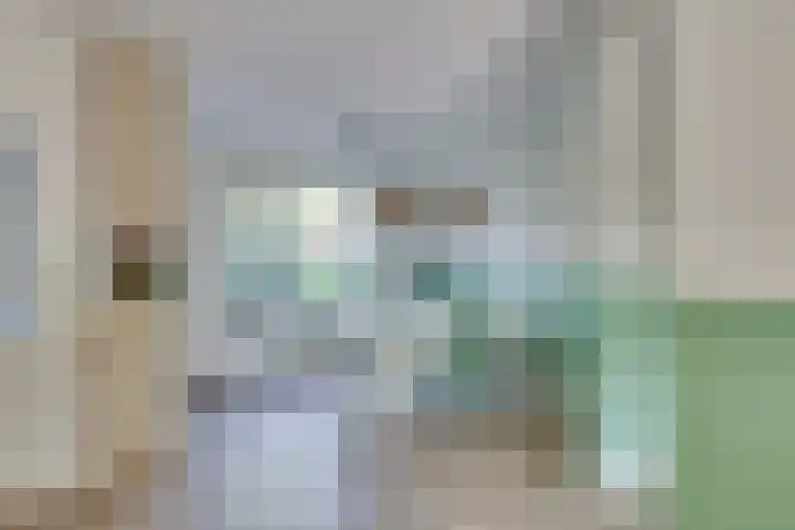 Andoorn 27 Kampen thumbnail 21