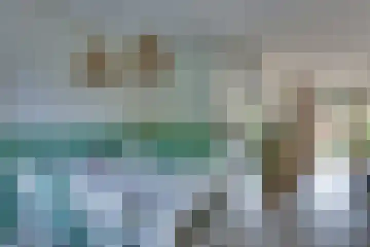 Andoorn 27 Kampen thumbnail 22