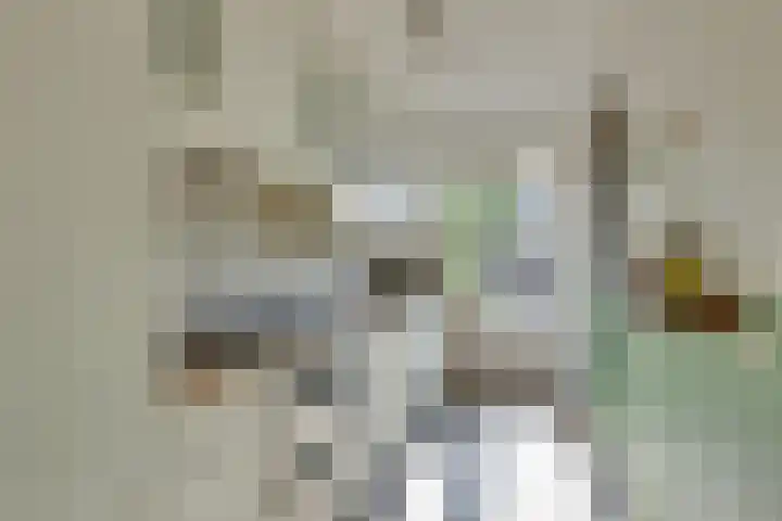 Andoorn 27 Kampen thumbnail 23