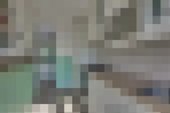 Andoorn 27 Kampen thumbnail 24