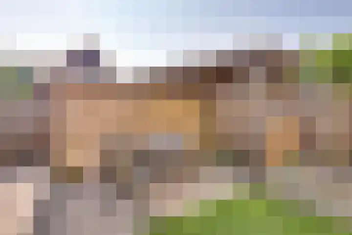 Andoorn 27 Kampen thumbnail 26