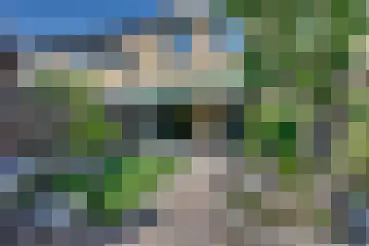 Andoorn 27 Kampen thumbnail 28