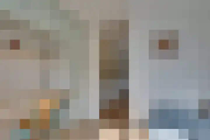Andoorn 27 Kampen thumbnail 36