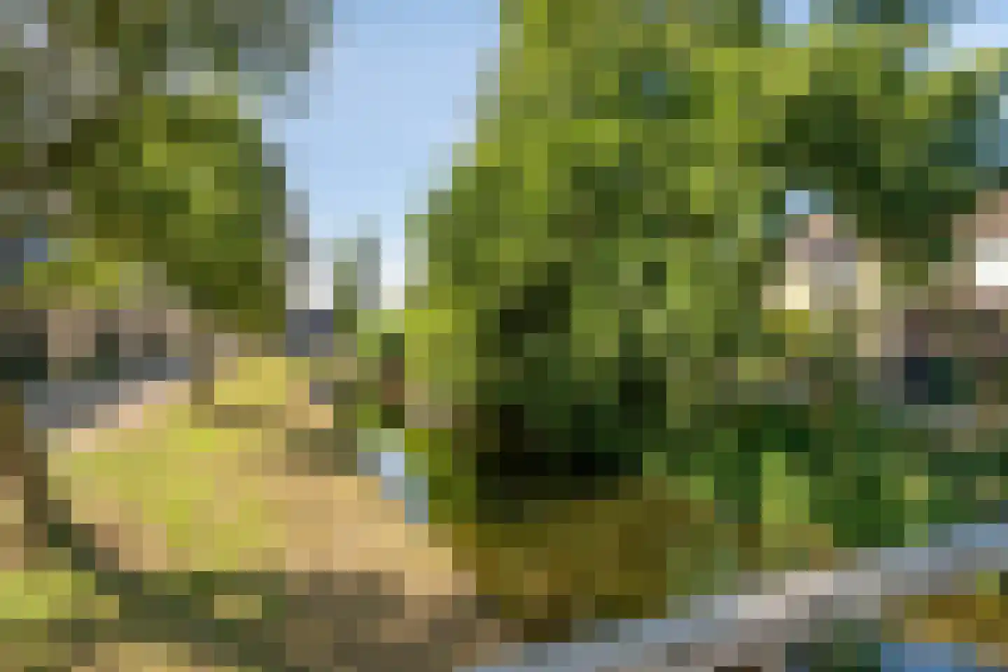 Andoorn 27 Kampen thumbnail 42
