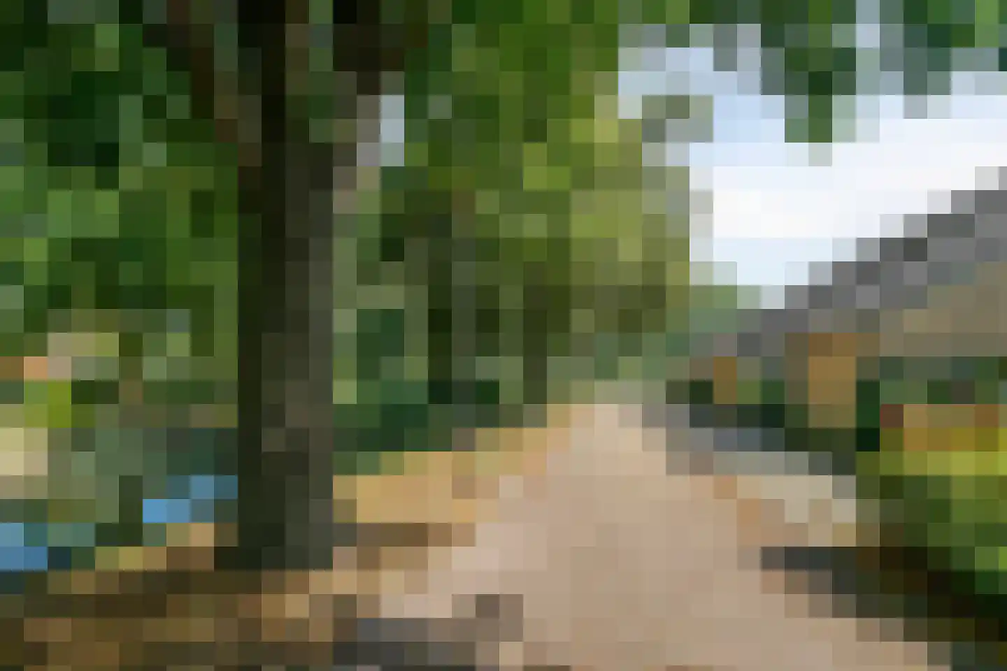Andoorn 27 Kampen thumbnail 44