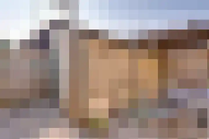 Andoorn 27 Kampen thumbnail 48