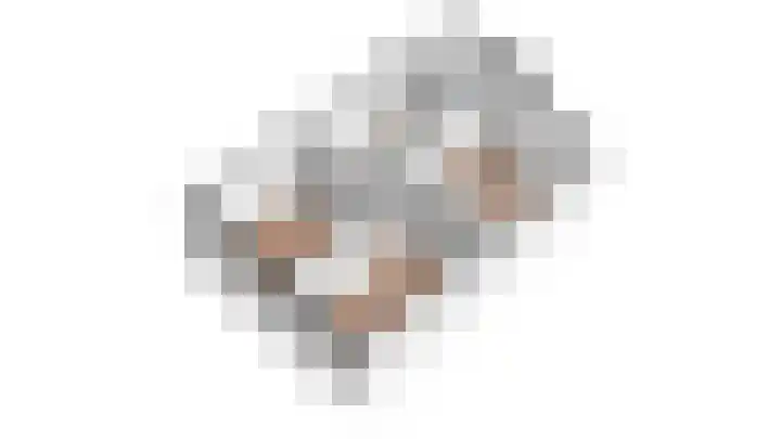 Andoorn 27 Kampen thumbnail 57
