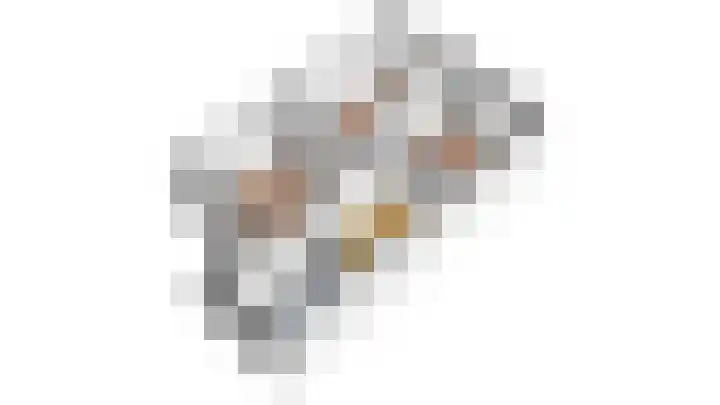 Andoorn 27 Kampen thumbnail 58