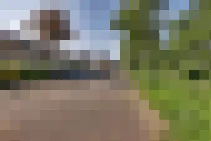 Andoorn 27 Kampen thumbnail 7