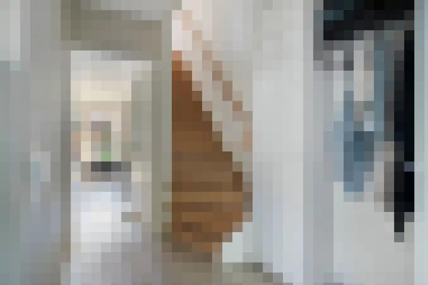 Andoorn 27 Kampen thumbnail 7