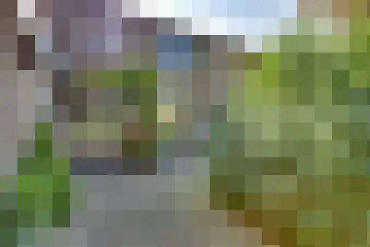 Andoorn 27 Kampen thumbnail 9