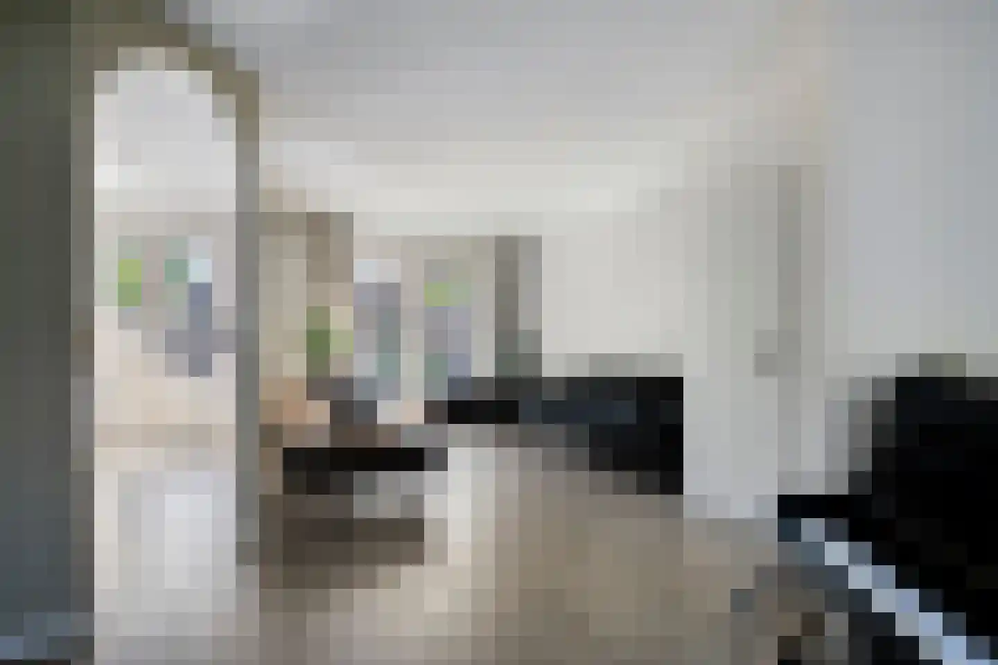 Andoorn 27 Kampen thumbnail 9