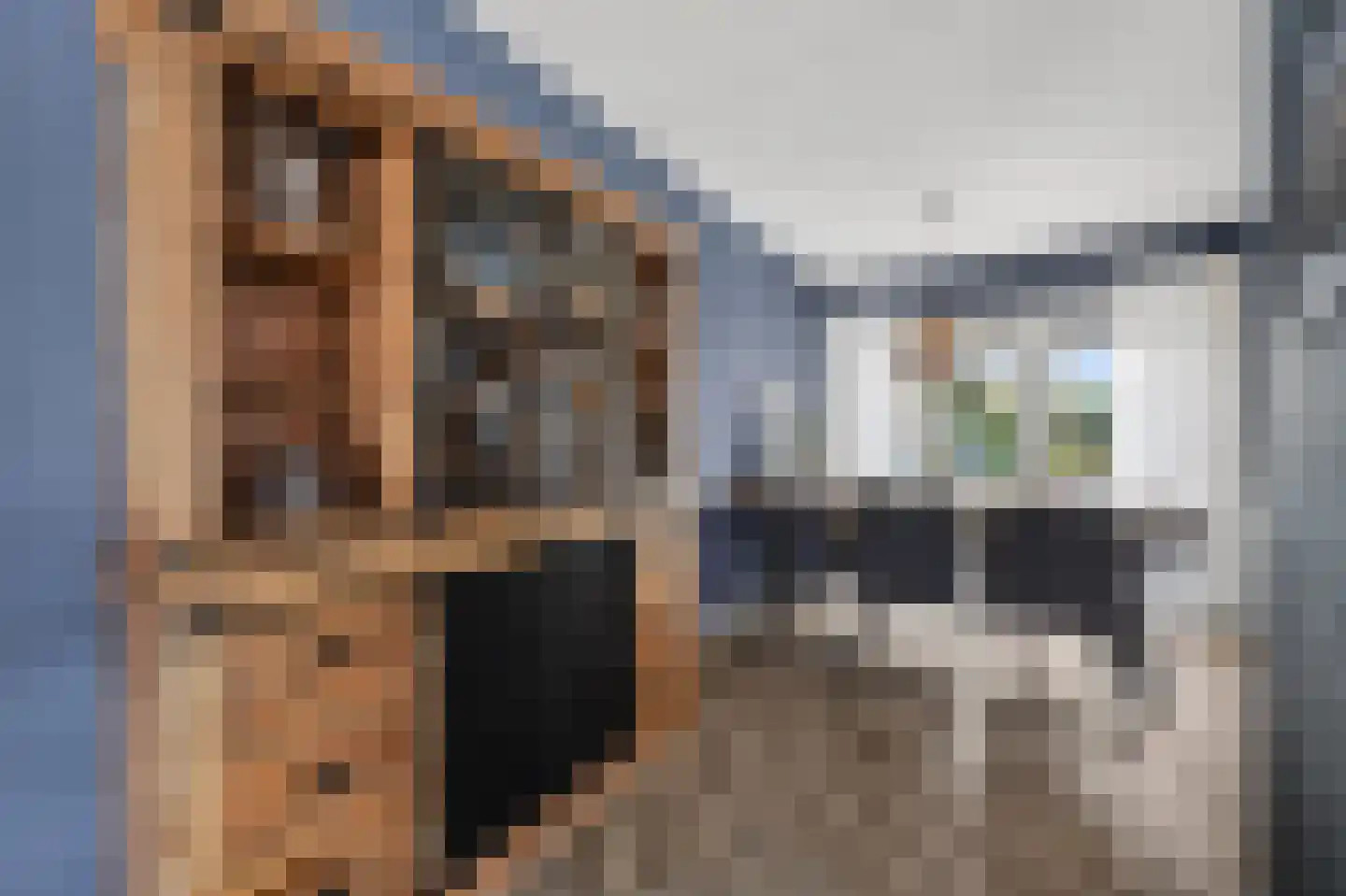 Andoorn 27 Klazienaveen thumbnail 11