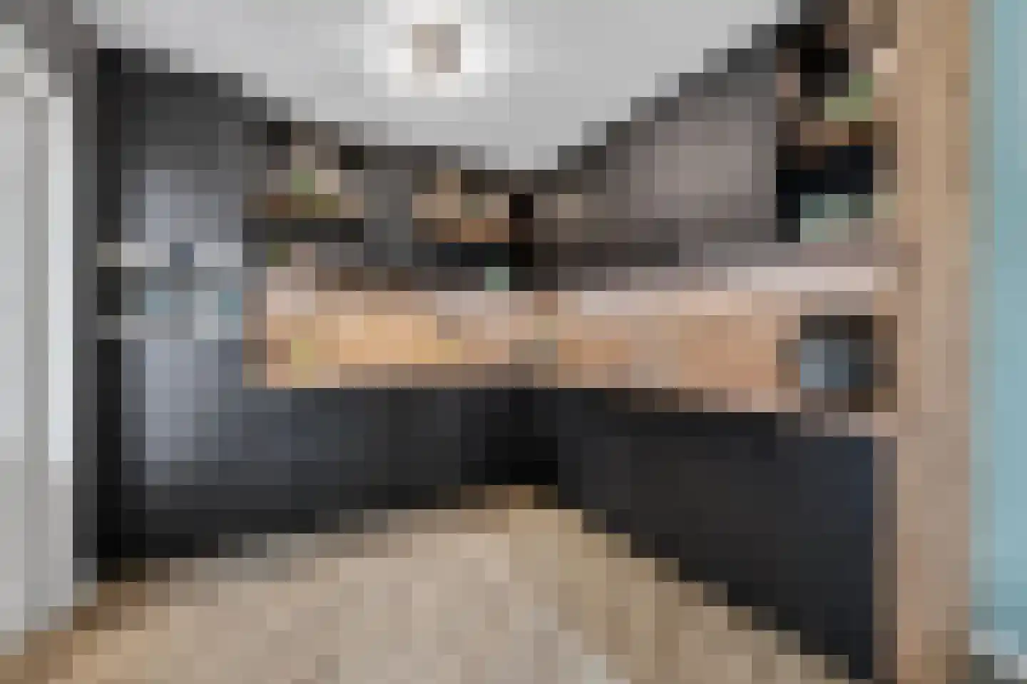 Andoorn 27 Klazienaveen thumbnail 13