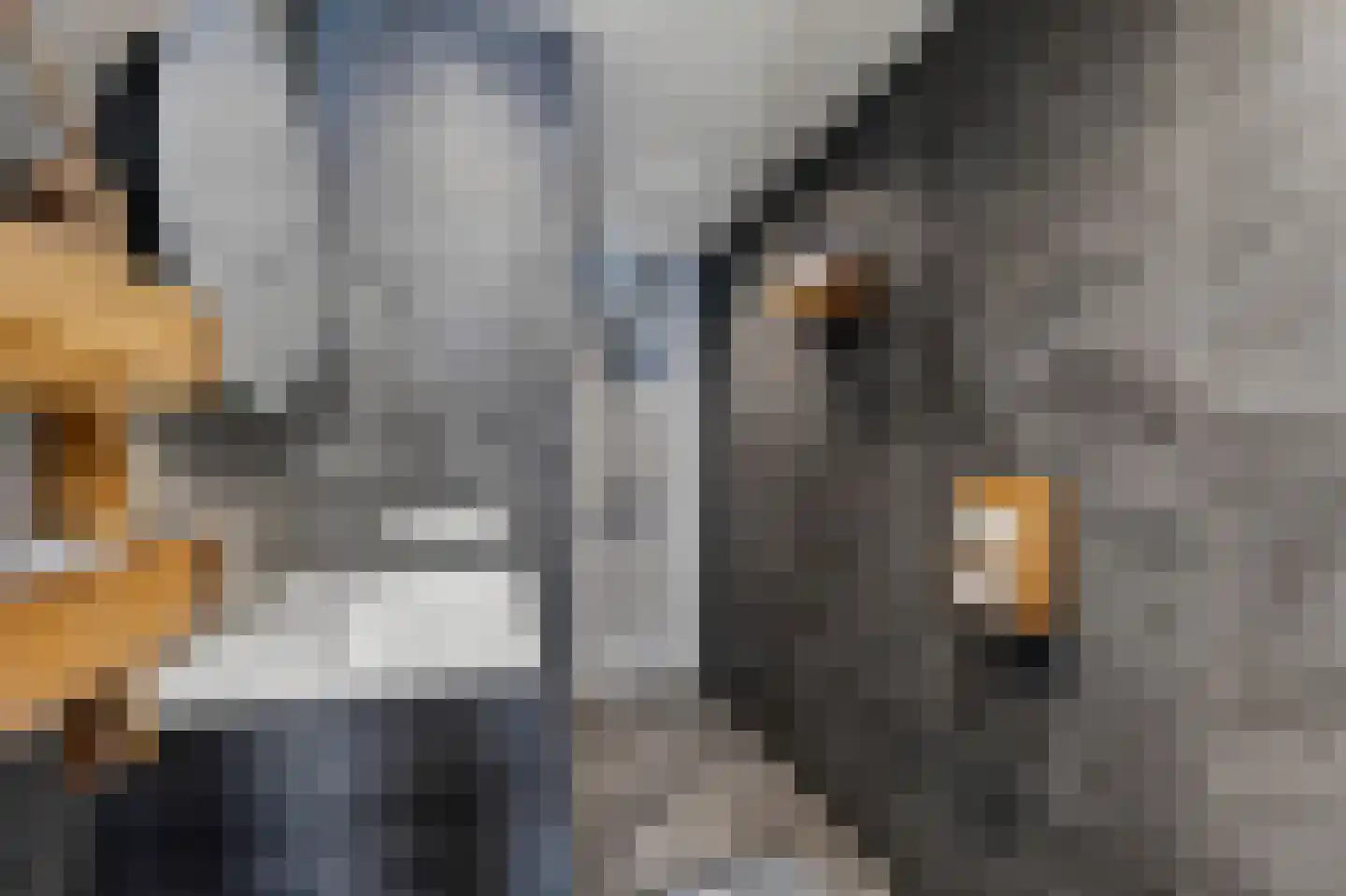 Andoorn 27 Klazienaveen thumbnail 21