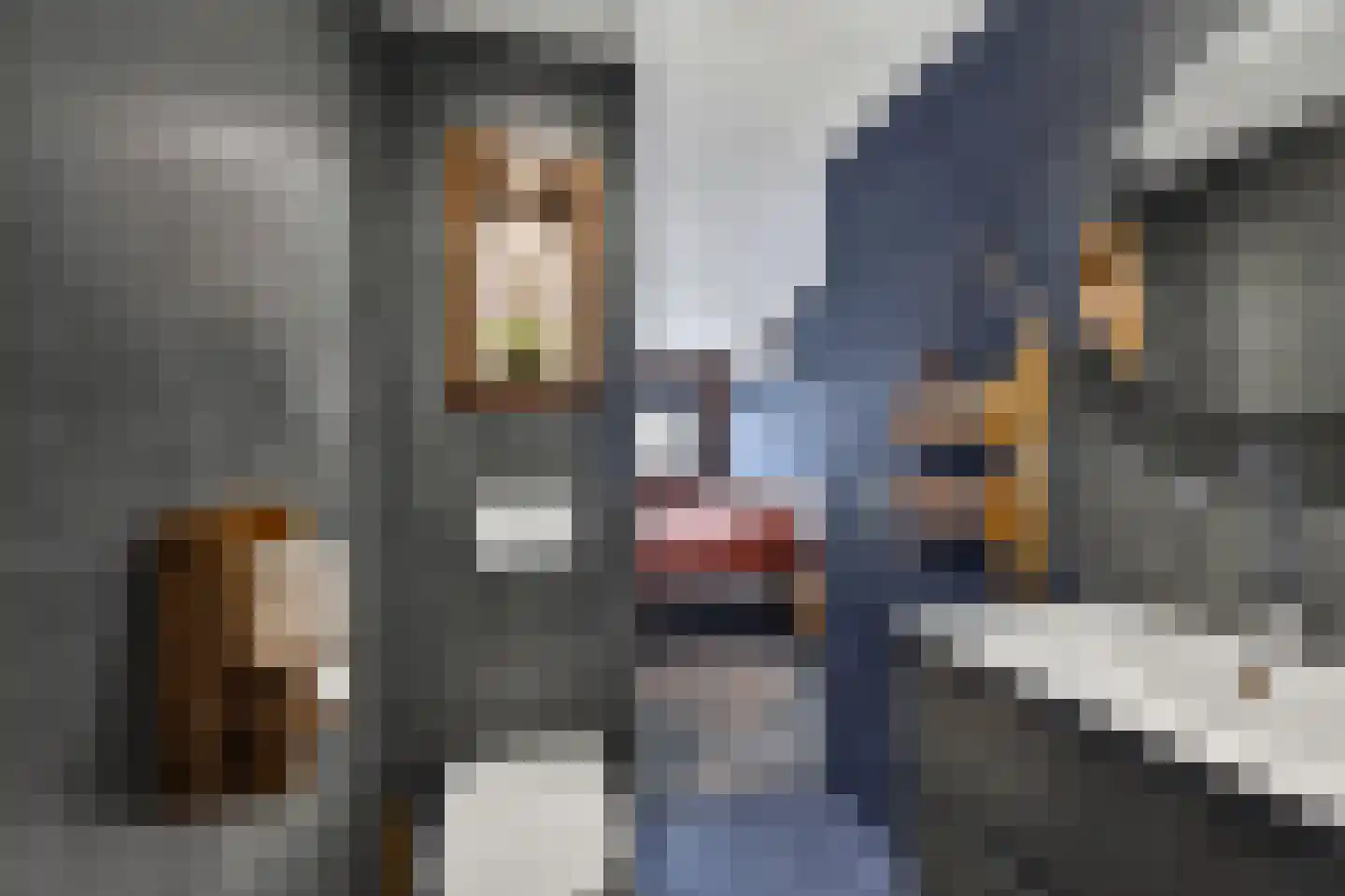Andoorn 27 Klazienaveen thumbnail 22