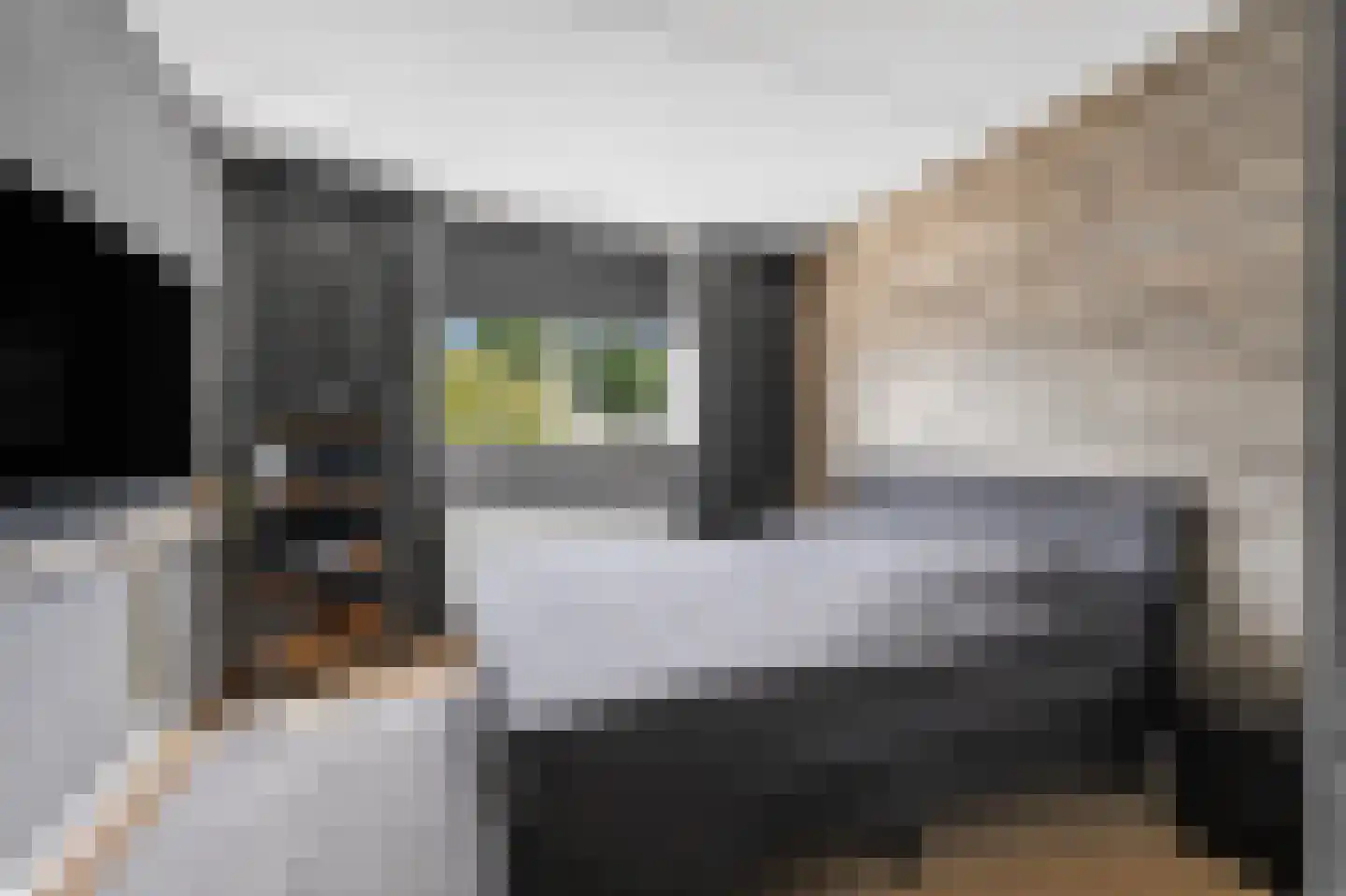 Andoorn 27 Klazienaveen thumbnail 24