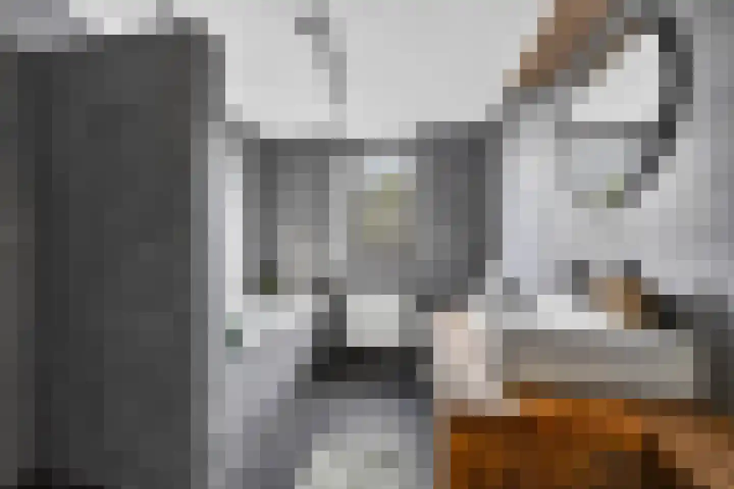 Andoorn 27 Klazienaveen thumbnail 30