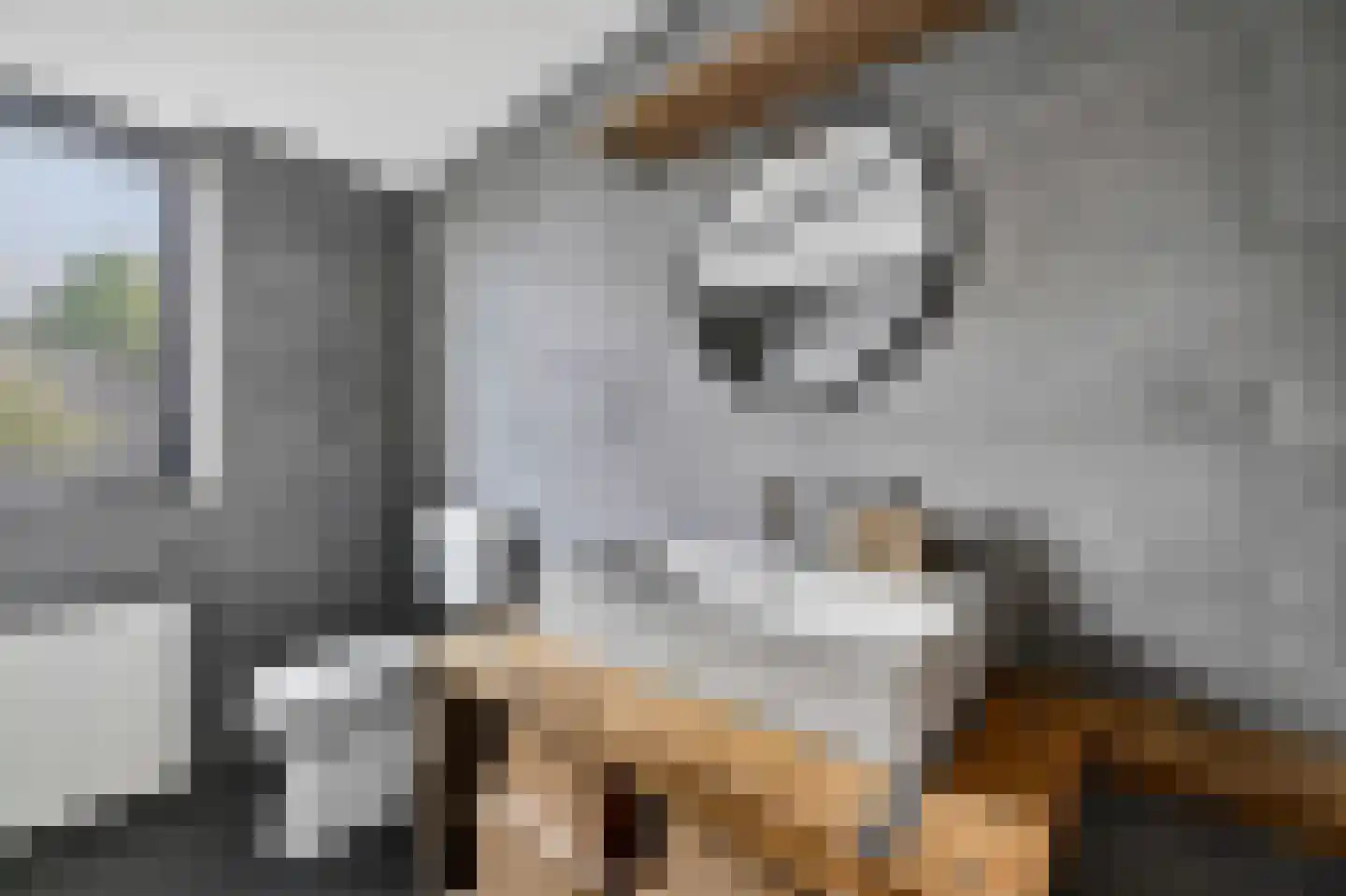 Andoorn 27 Klazienaveen thumbnail 31