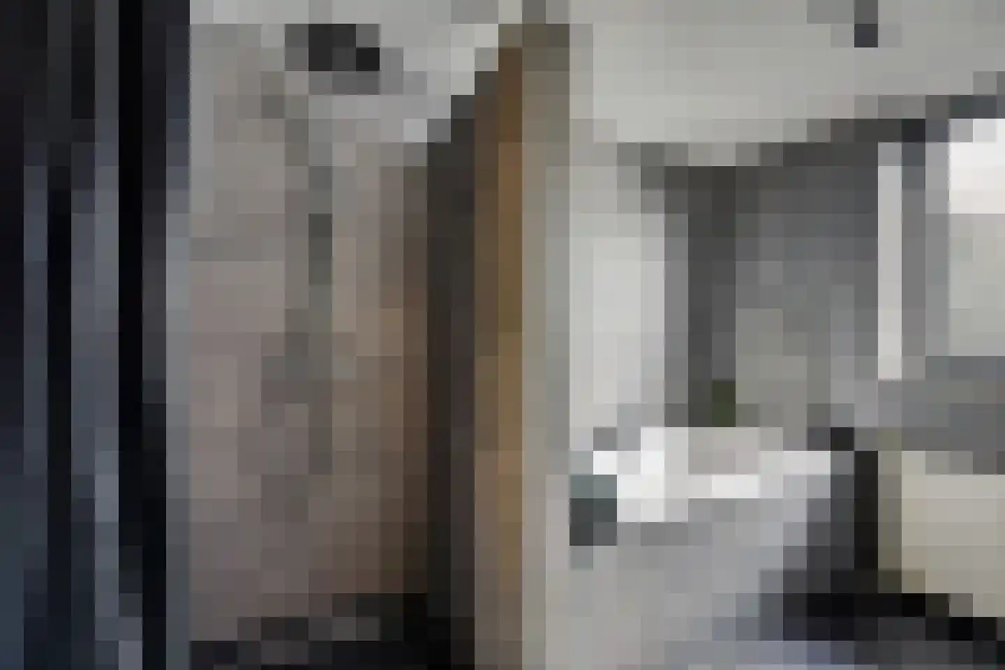 Andoorn 27 Klazienaveen thumbnail 32