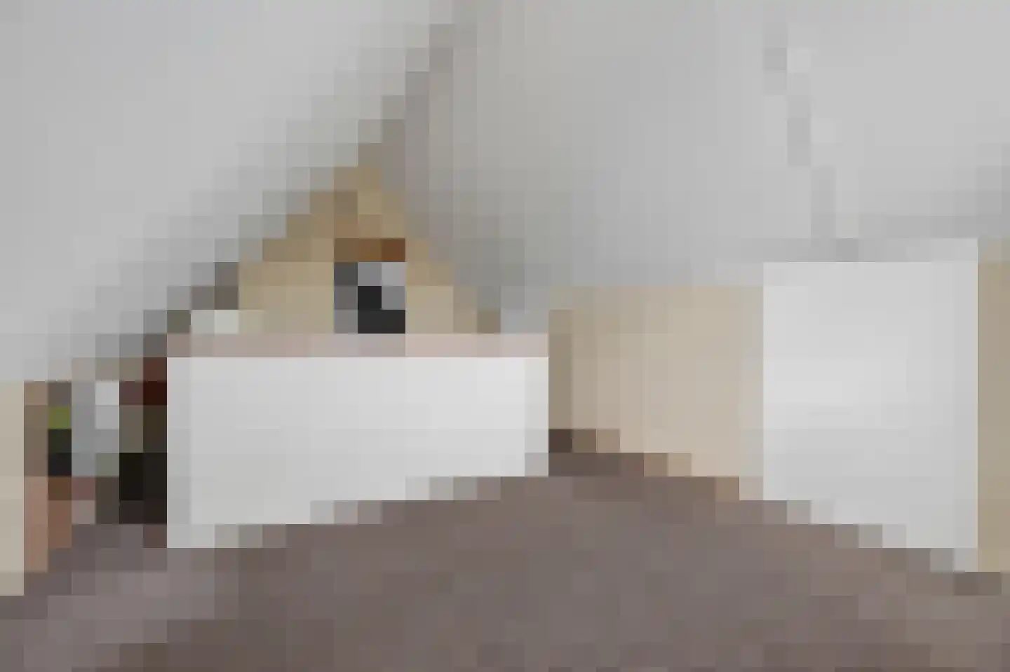 Andoorn 27 Klazienaveen thumbnail 35