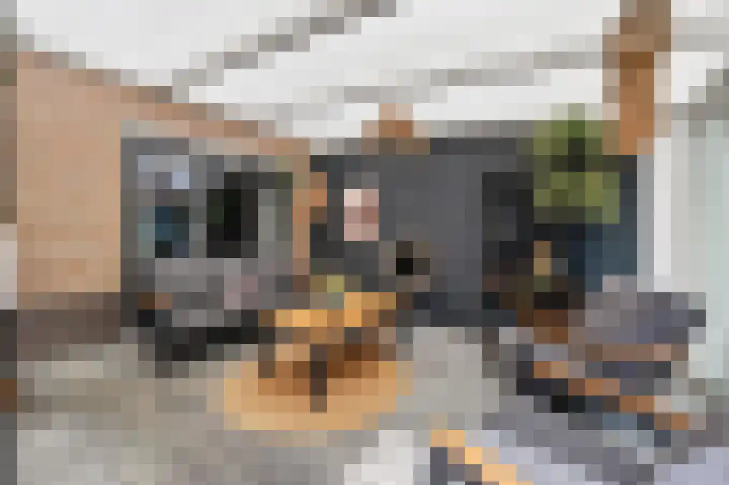 Andoorn 27 Klazienaveen thumbnail 36
