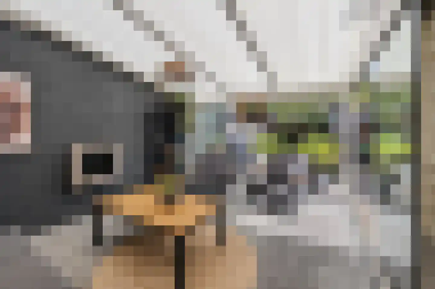 Andoorn 27 Klazienaveen thumbnail 37