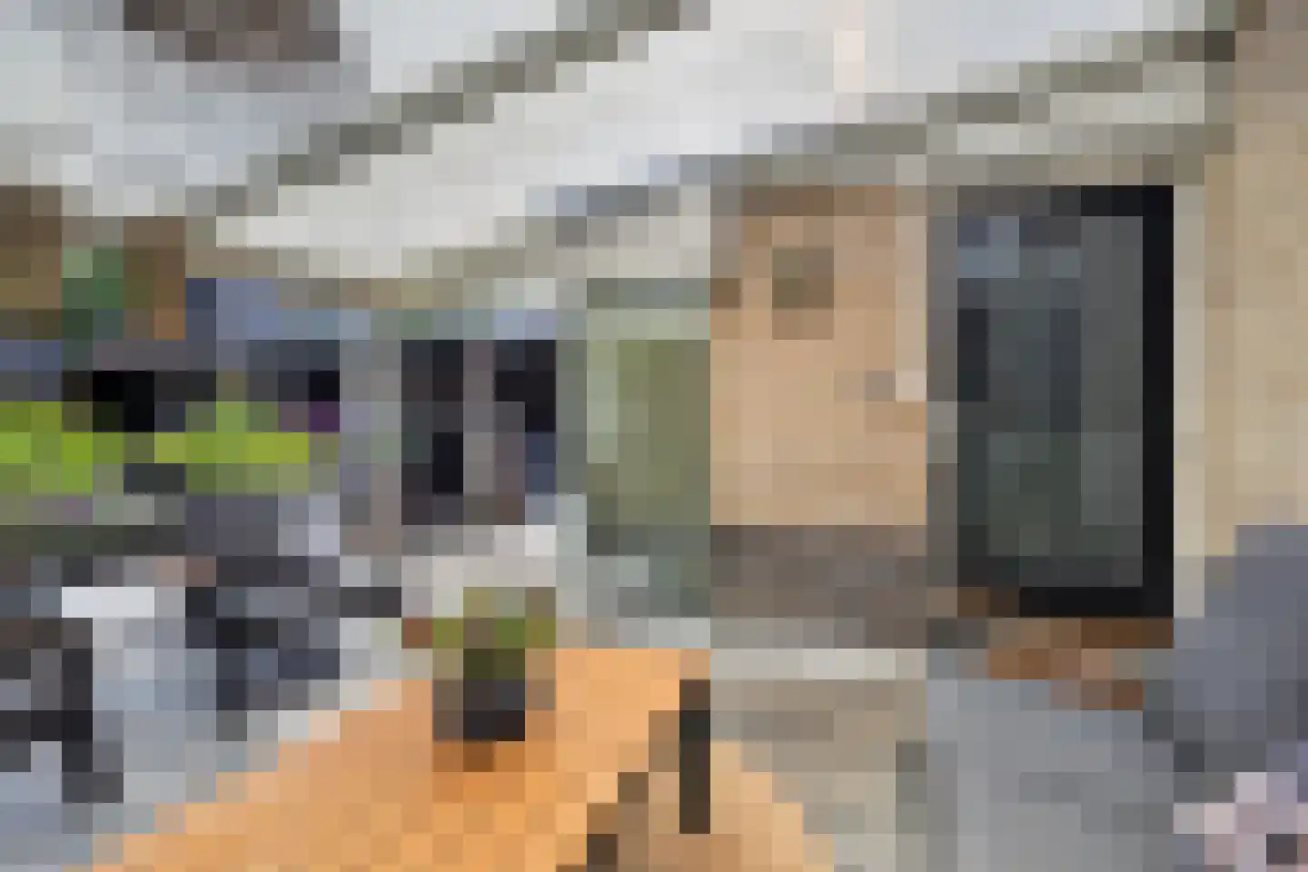 Andoorn 27 Klazienaveen thumbnail 38
