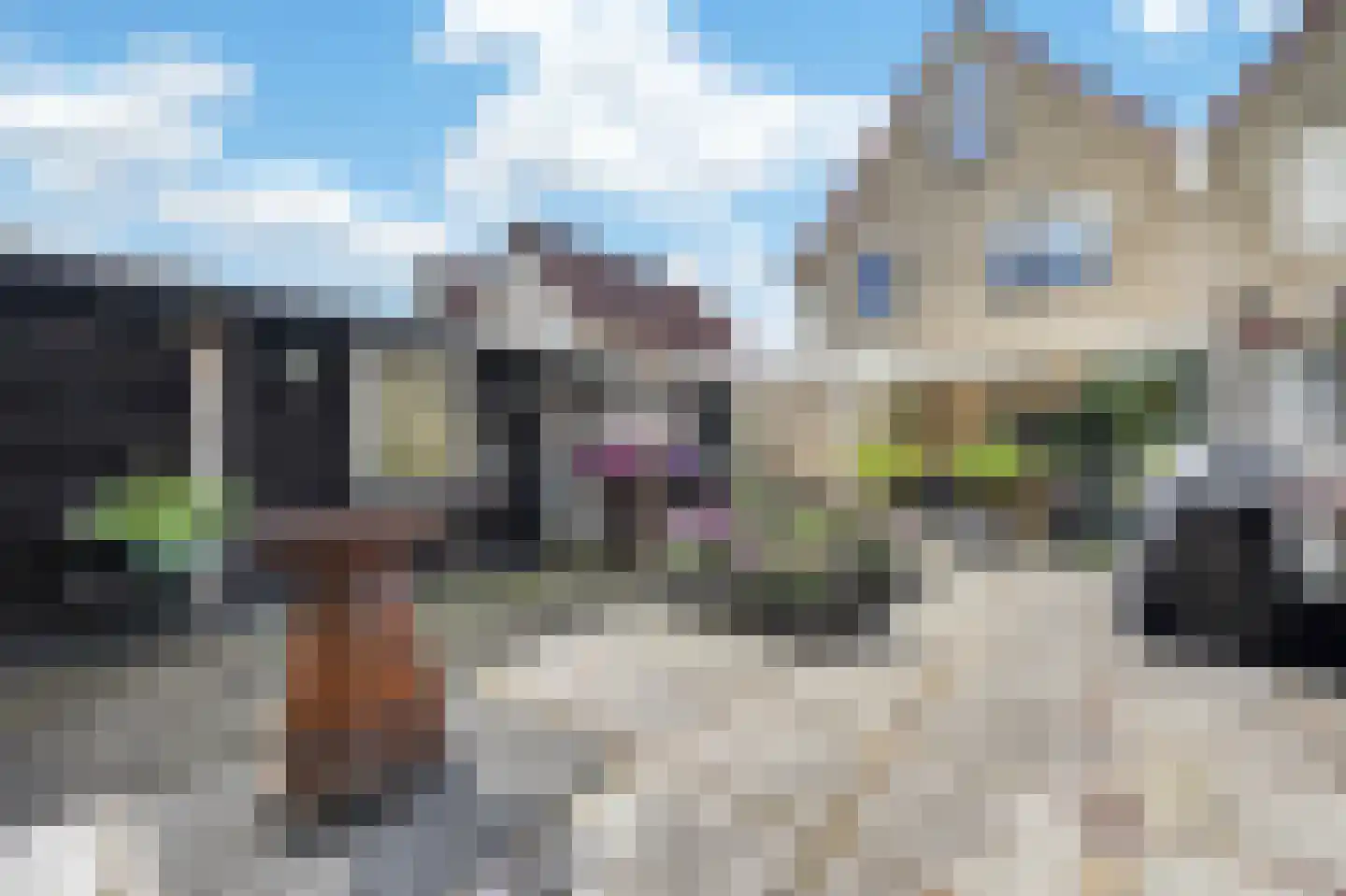 Andoorn 27 Klazienaveen thumbnail 39