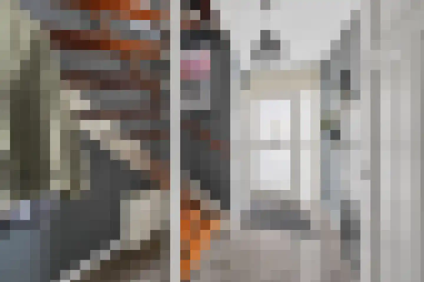 Andoorn 27 Klazienaveen thumbnail 4