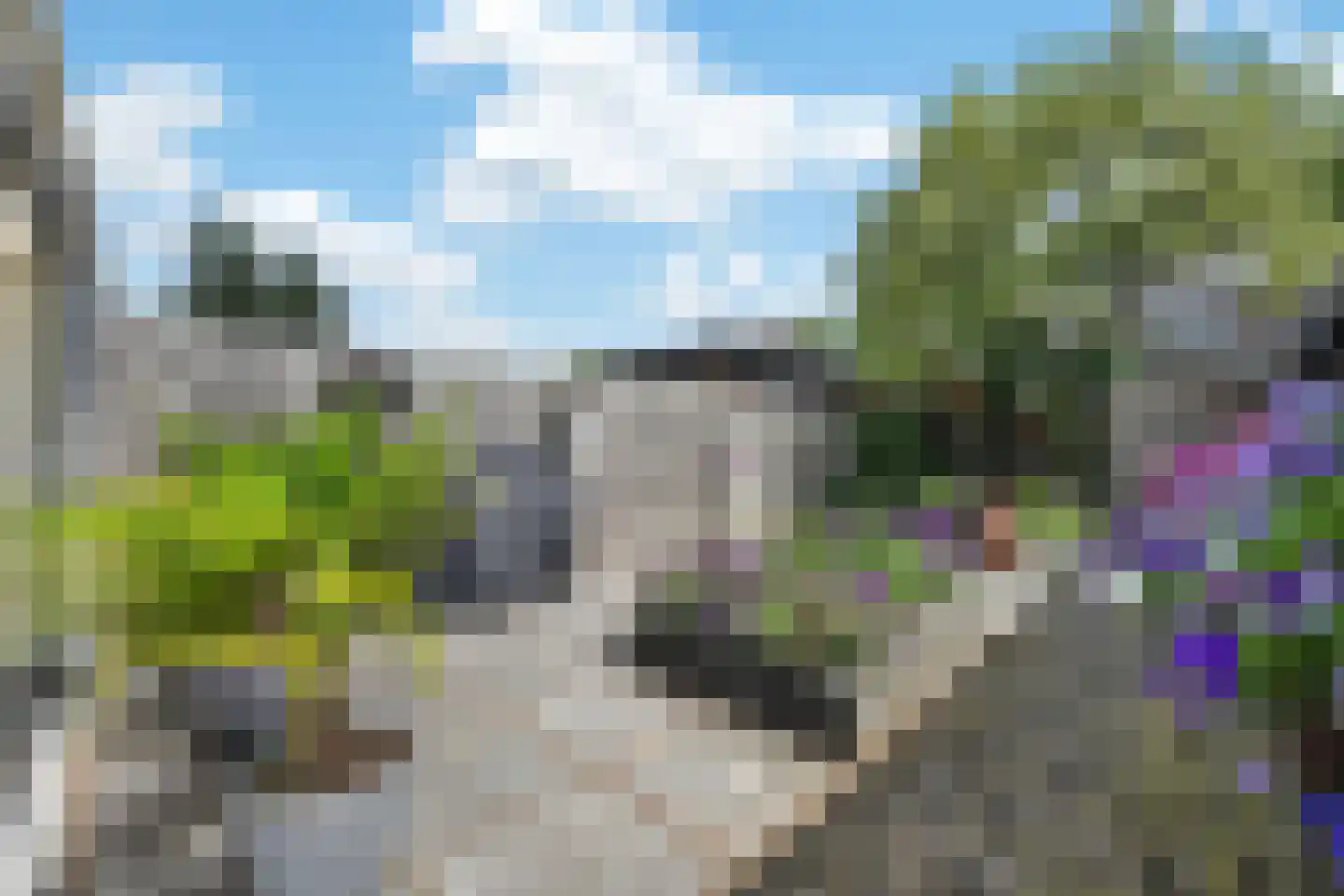Andoorn 27 Klazienaveen thumbnail 40