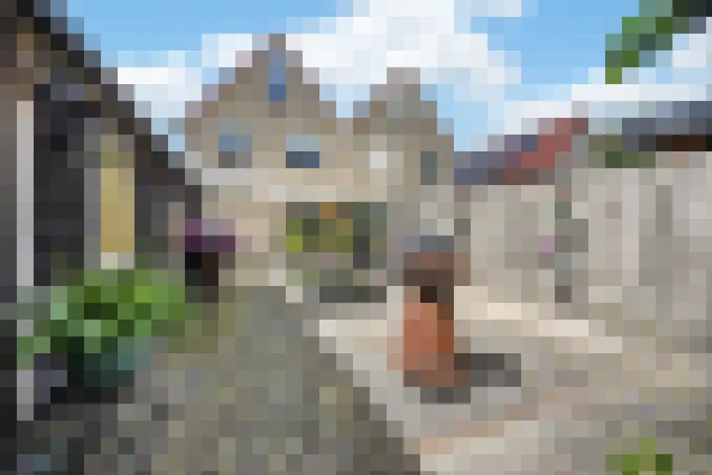 Andoorn 27 Klazienaveen thumbnail 41