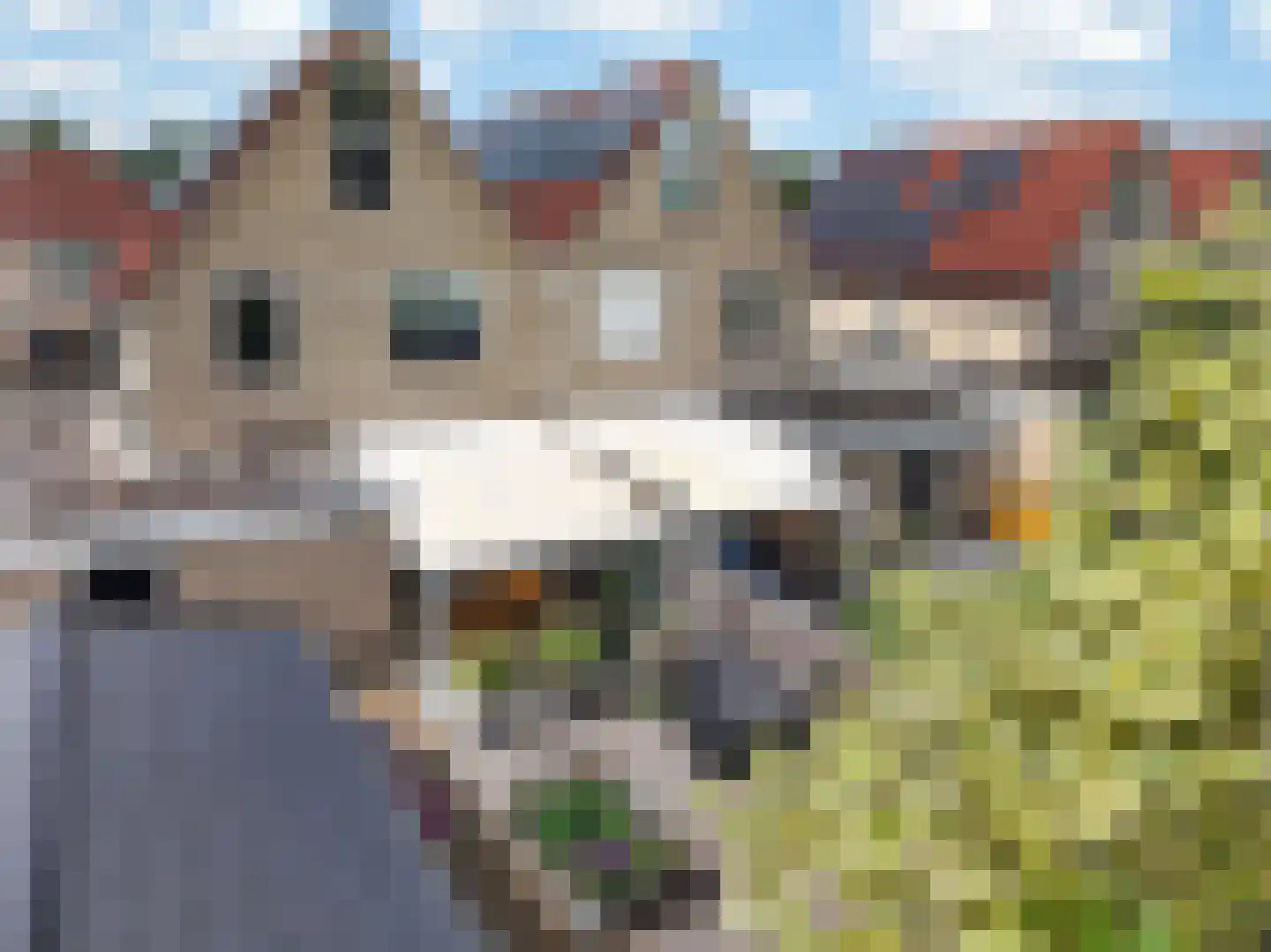 Andoorn 27 Klazienaveen thumbnail 44
