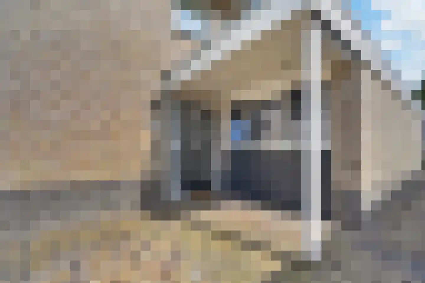 Andoorn 27 Klazienaveen thumbnail 47