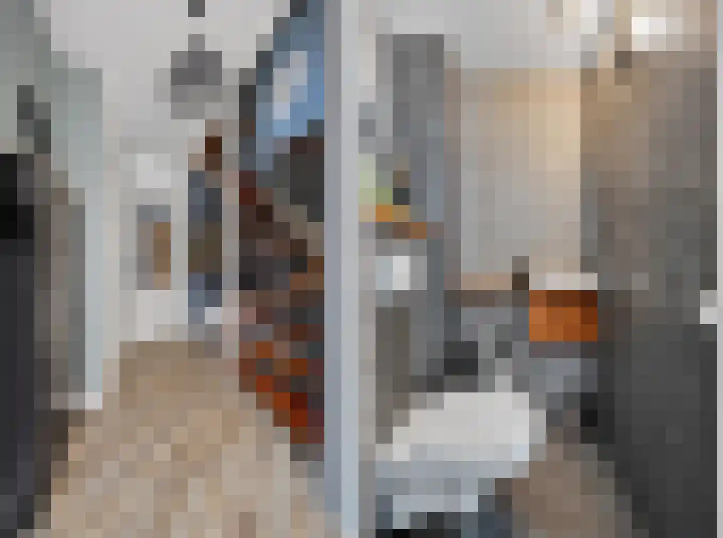Andoorn 27 Klazienaveen thumbnail 5