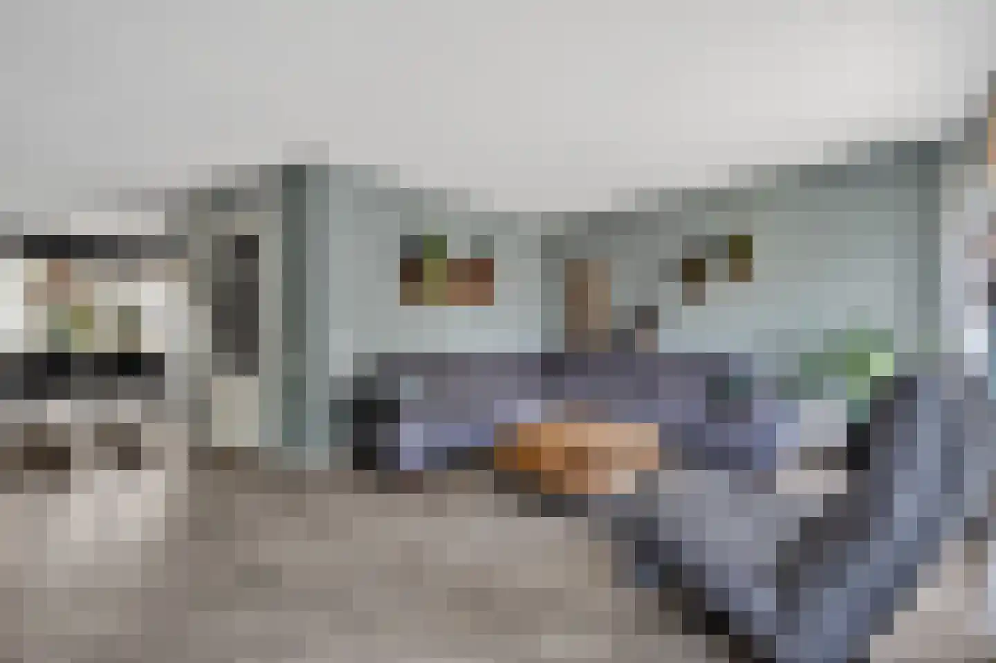 Andoorn 27 Klazienaveen thumbnail 7