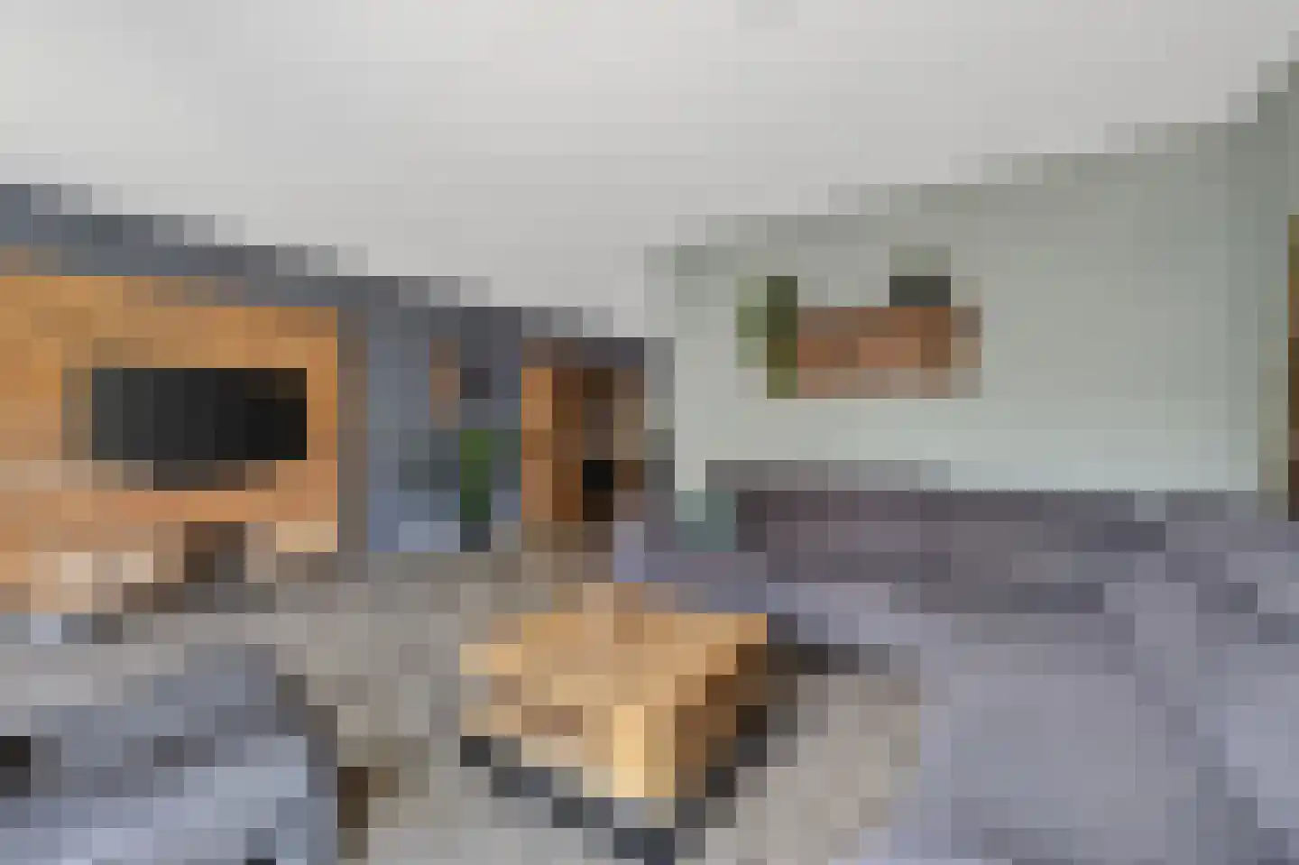 Andoorn 27 Klazienaveen thumbnail 8
