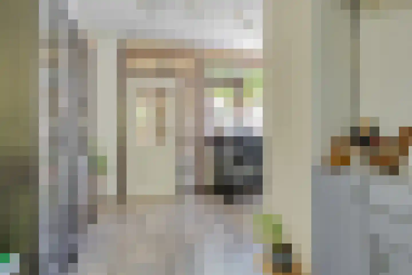 Andoorn 27 Rotterdam thumbnail 10