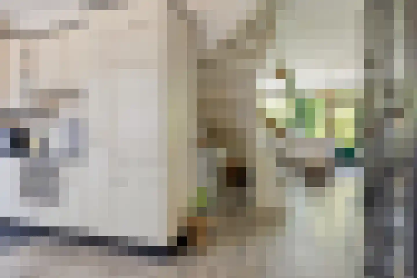 Andoorn 27 Rotterdam thumbnail 12