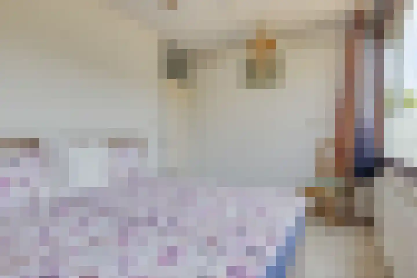Andoorn 27 Rotterdam thumbnail 17